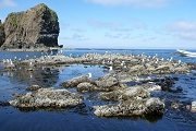 P1000444.jpg
