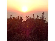 天売の夕日②.jpg